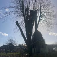 Travaux de ce débuts de saison de votre entrepreneur de jardin en brabant wallon