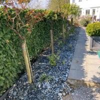 Travaux de ce débuts de saison de votre entrepreneur de jardin en brabant wallon