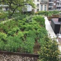 Retour sur les travaux effectués par l'équipe de Jardin Zen en Brabant Wallon et Bruxelles 