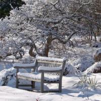 Mon jardin et l'hiver : Entretenir , Plannifier , Reconstruire , ...