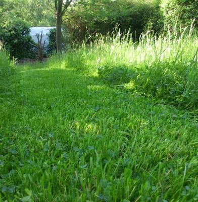 Entretien de jardin et tonte de la pelouse à Rixensart, Wavre, Babant Wallon.