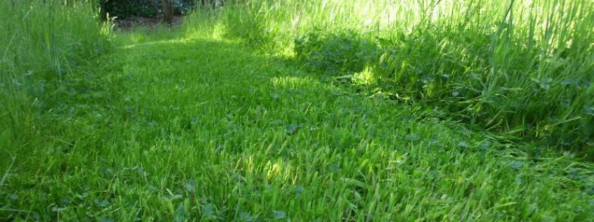 Entretien de jardin et tonte de la pelouse à Rixensart, Wavre, Babant Wallon.